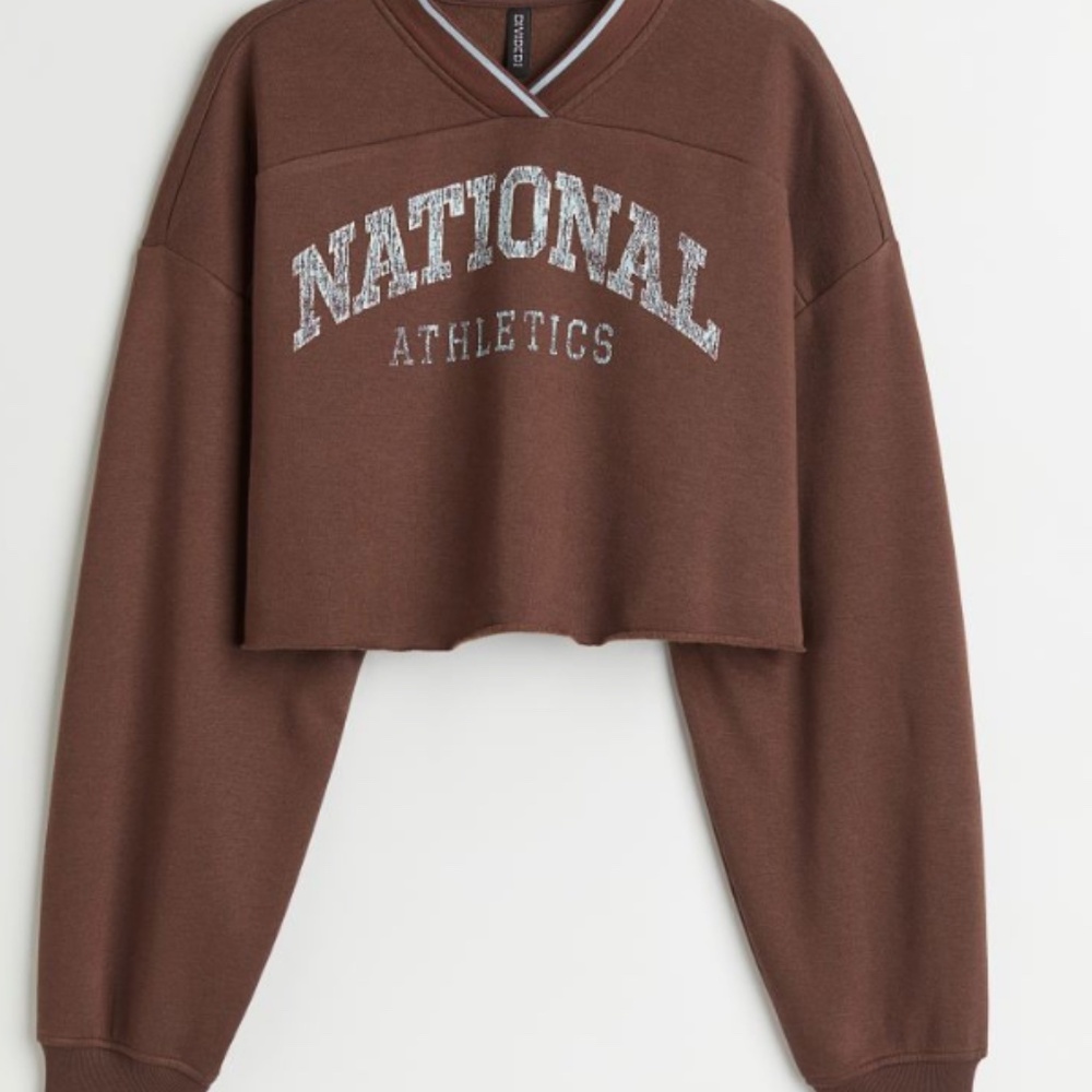 H&M Brown Cropped Crewneck
